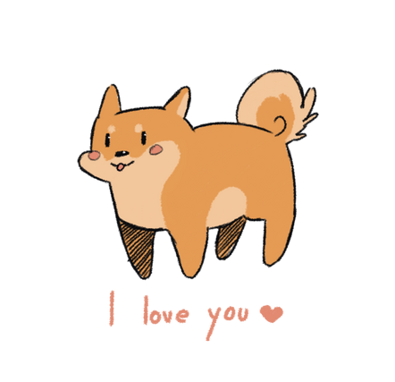 Shiba love u